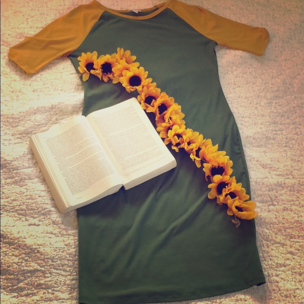 LulaRoe Julia Go Pack Go! 💚💛